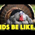 What if Turkeys knew what was in store for them on Thanksgiving? Multiple videos every week. Subscribe, like, comment, and share!